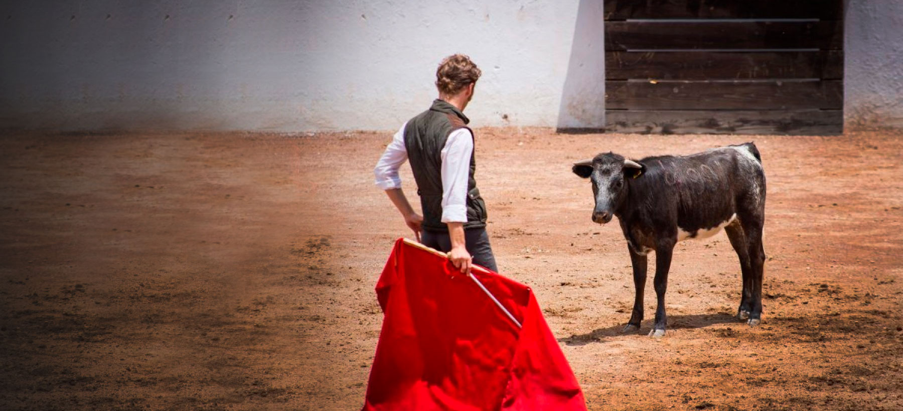 ¡Acabemos juntos con las fiestas populares con toros! ¡Acabemos juntos con las fiestas populares con toros!